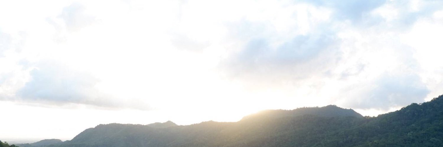 rockyboard's profile banner image