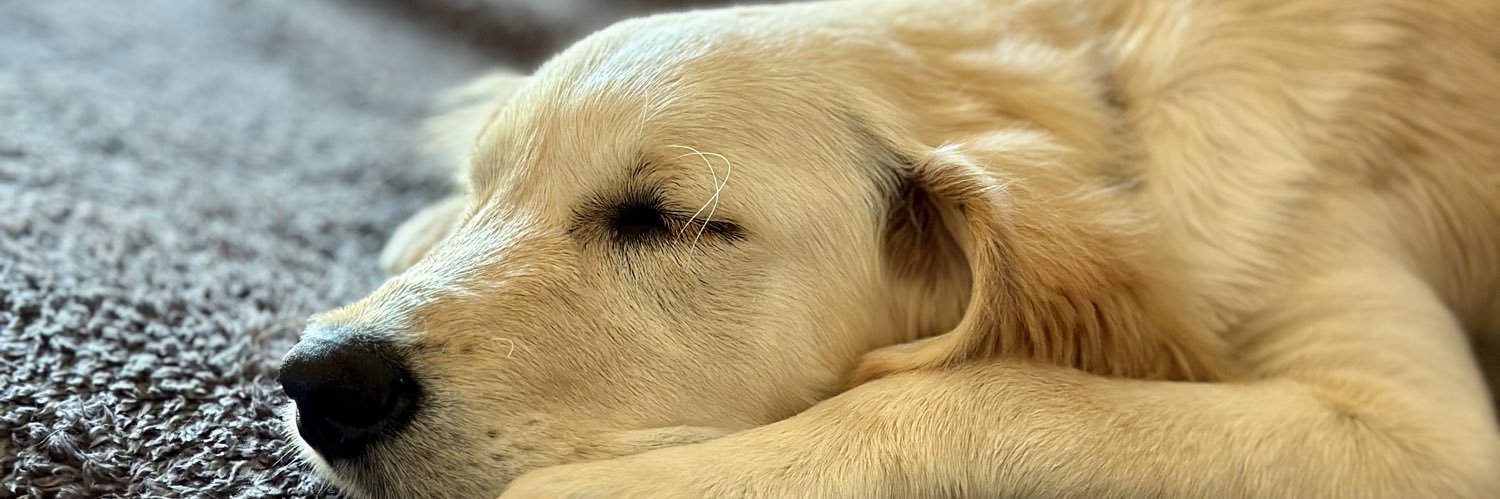 Chris Donnelly 🙏🇺🇦 banner