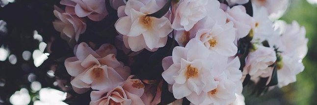 MaryKpndz's profile banner image