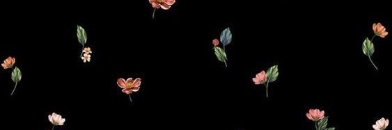 kevin banner