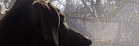 SDHoward2006's profile banner image