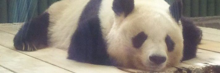 Oliveolive62's profile banner image