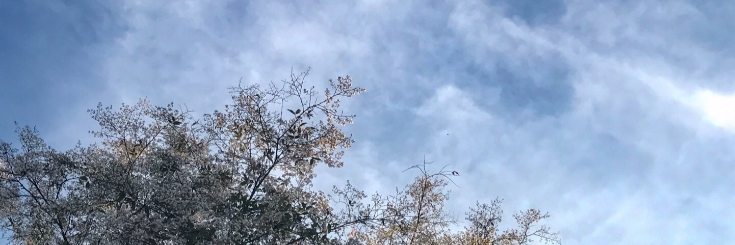 สิริกันไม่ไหวแล้ว banner