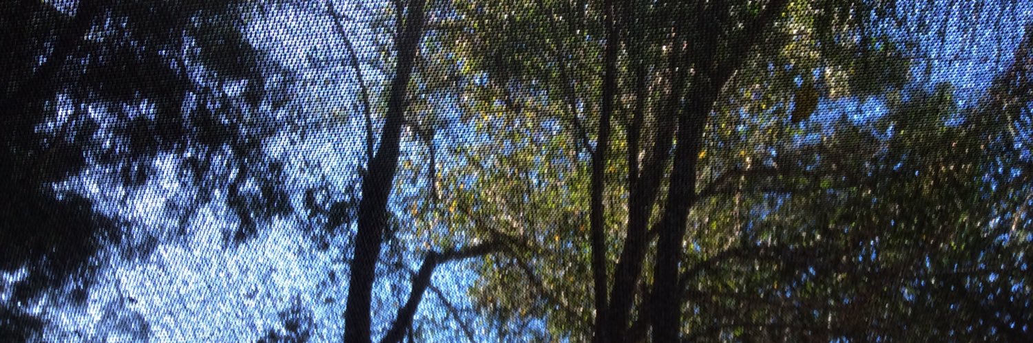 Slothsforme banner