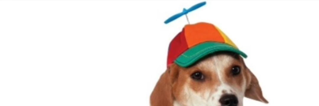 PingoStingo's profile banner image