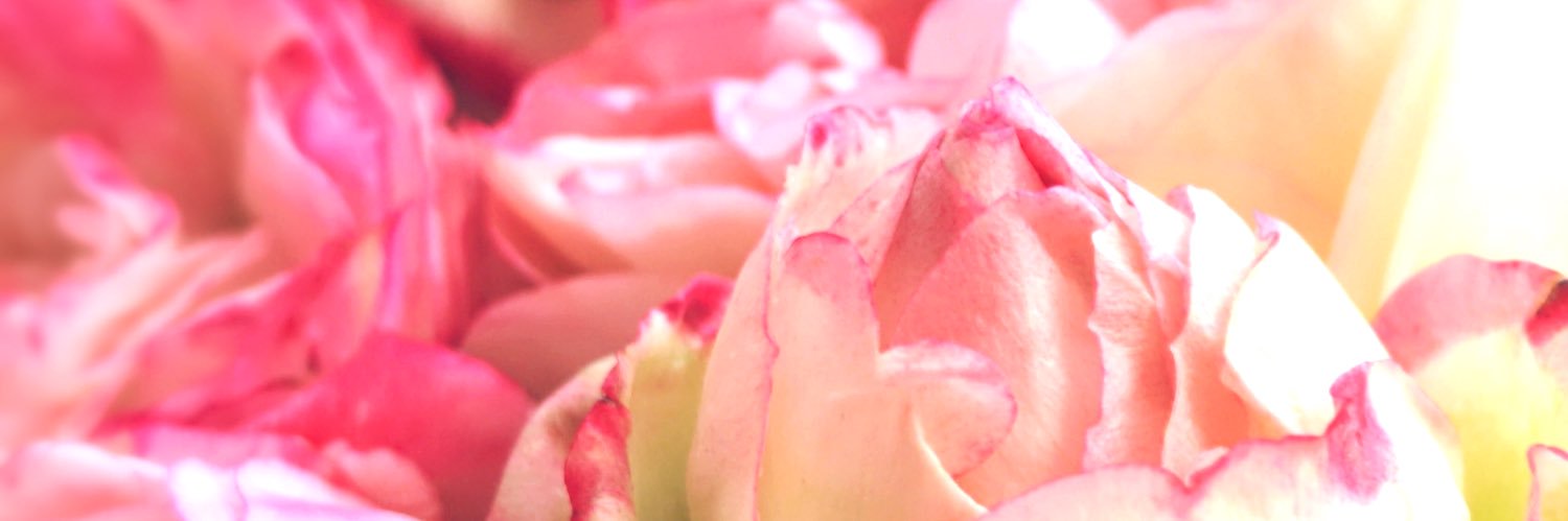 LeCoeur131's profile banner image