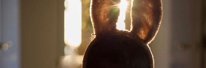odon_dah's profile banner image