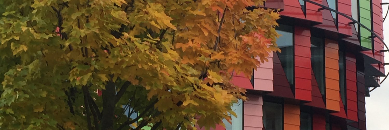 Lotta Emlind Vahul banner