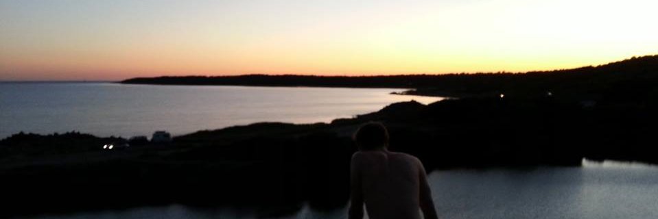 Eric Emanuelsson banner