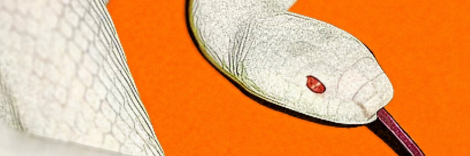 JohnnyimmortaI's profile banner image