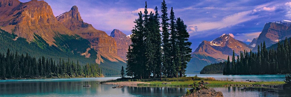danielwilde1's profile banner image