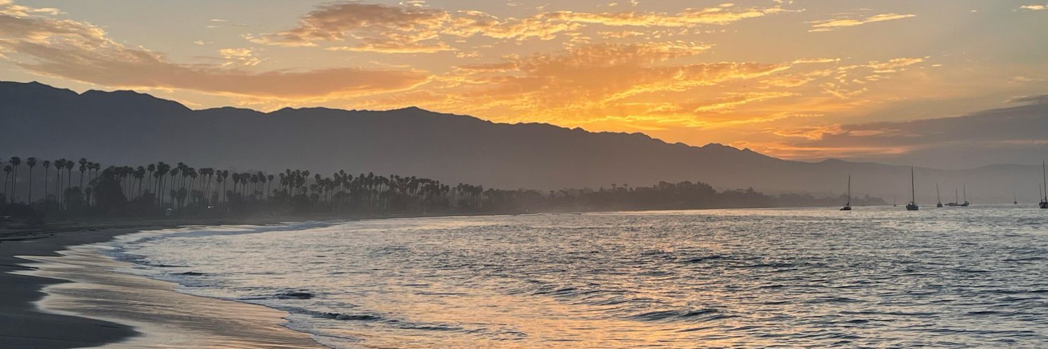 Anaspene's profile banner image