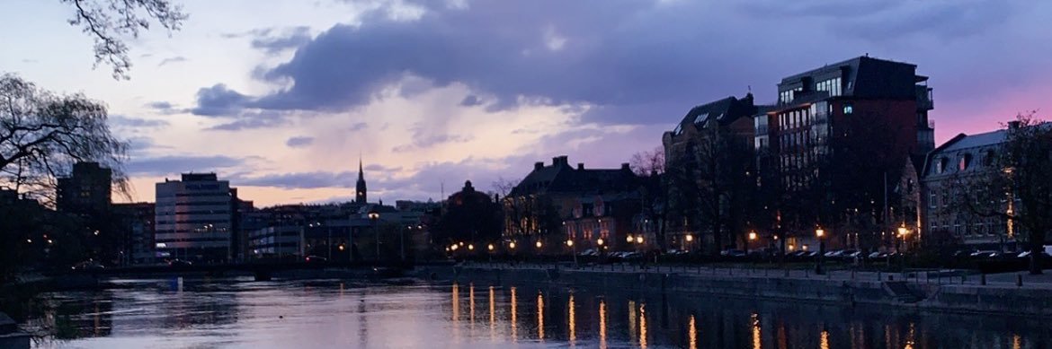 Victoria Sandberg banner
