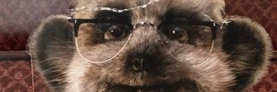JamesBarry07's profile banner image