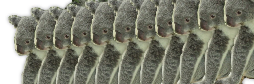 mippel_telt's profile banner image