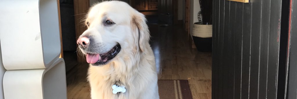 Darryl Mc Cullagh banner