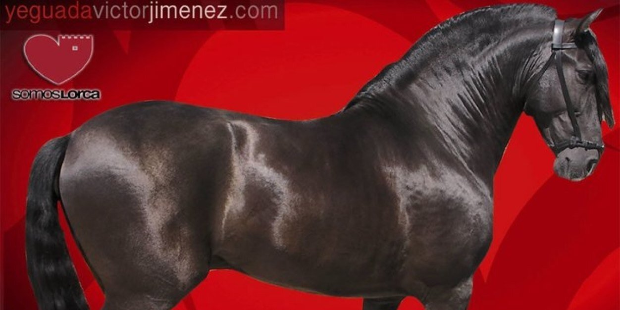 yeguadavjimenez's profile banner image