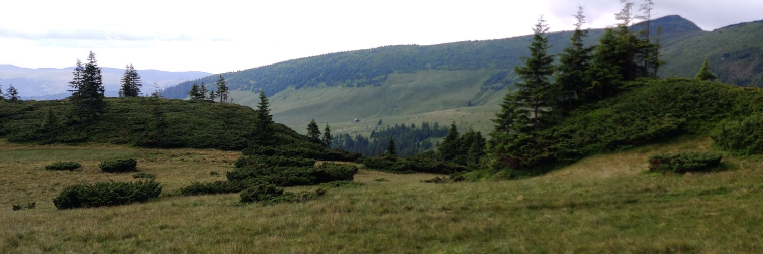 adi0149's profile banner image