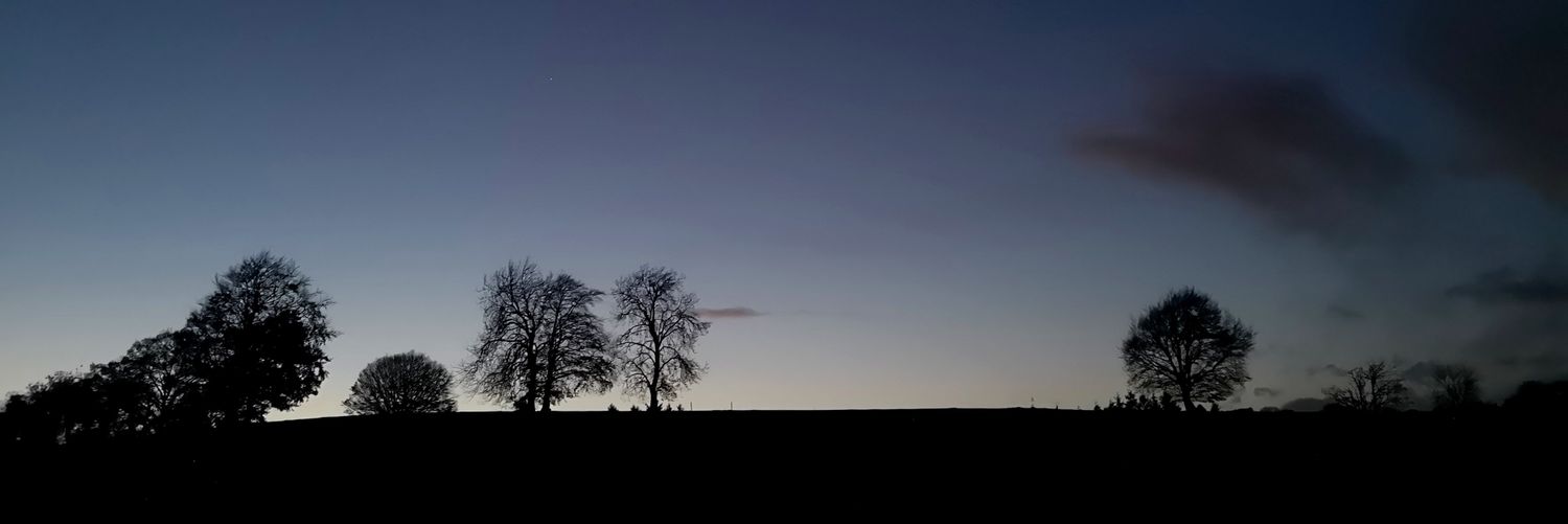 MatthewCoynee's profile banner image