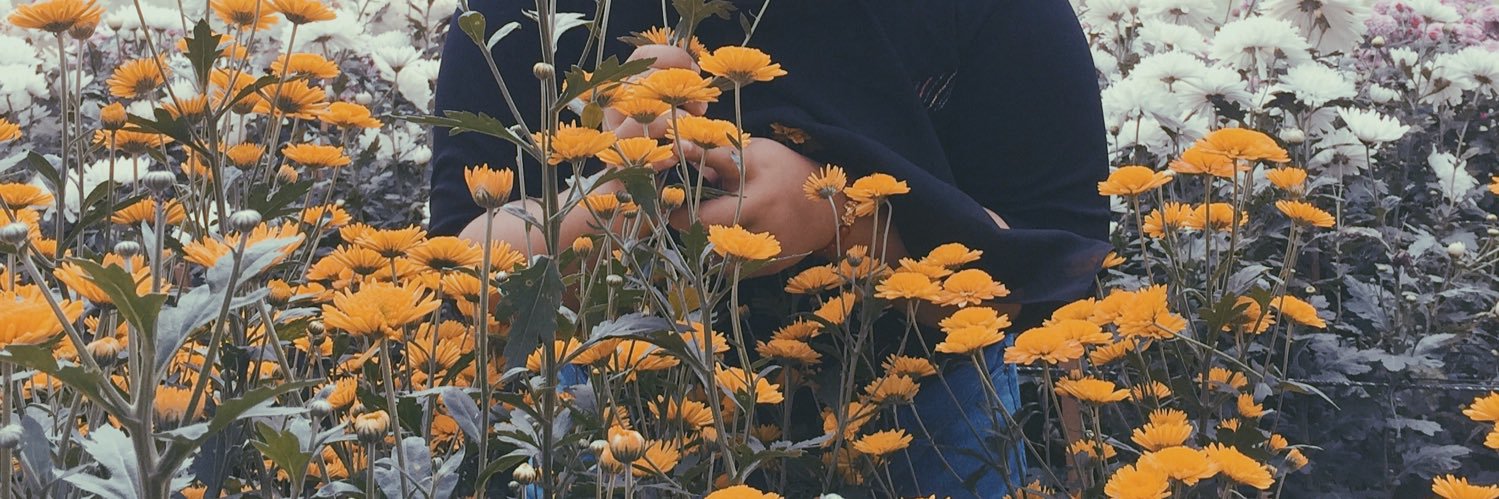 NursintaR's profile banner image