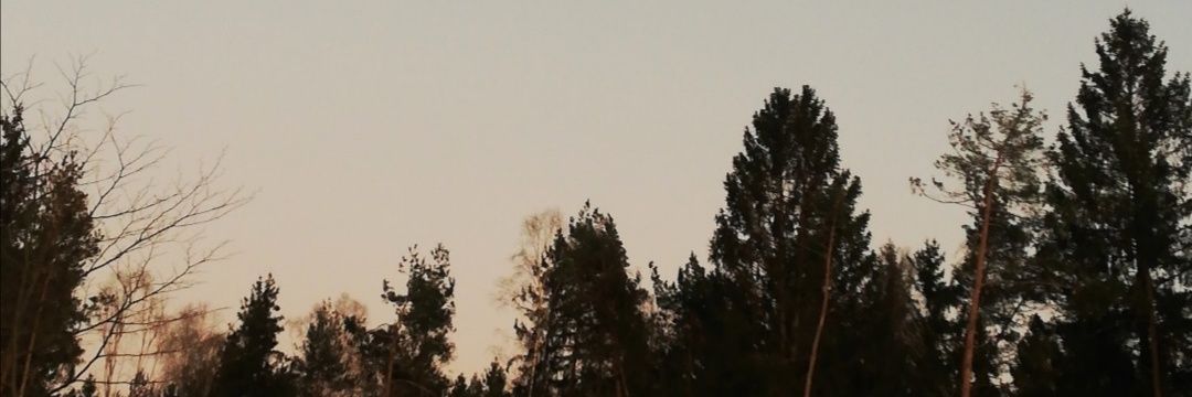 sun152218's profile banner image