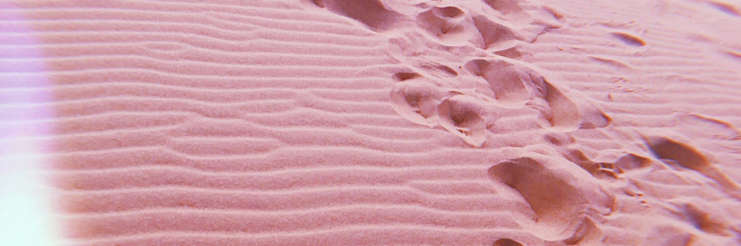 jennyhillX's profile banner image