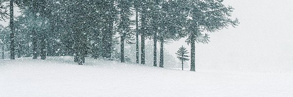 benjamingrandi Profile Banner
