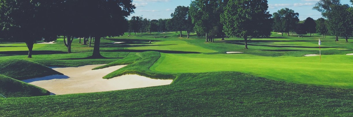 rotodbgolf's profile banner image
