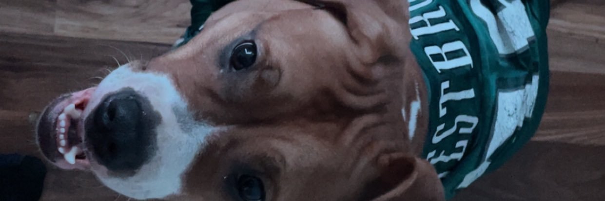 Anthonytripkee's profile banner image
