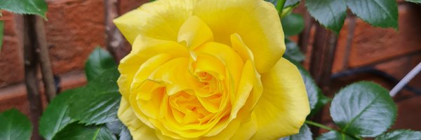 HeatherJMorgan Profile Banner