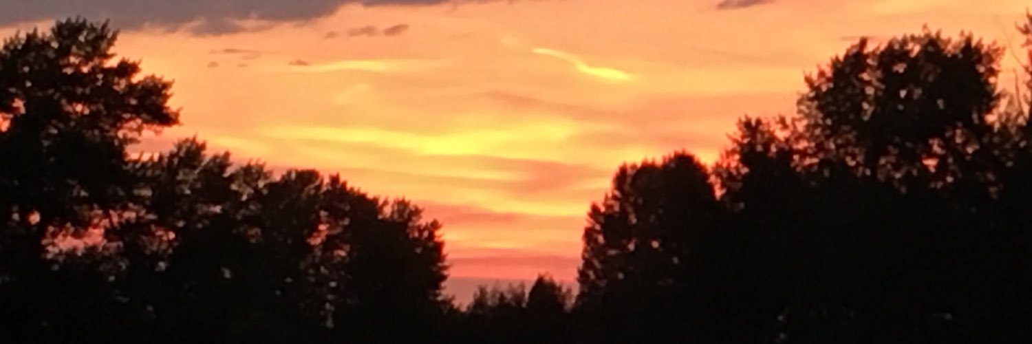 mskinner712's profile banner image