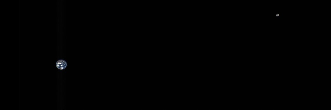 M.S. Bull banner