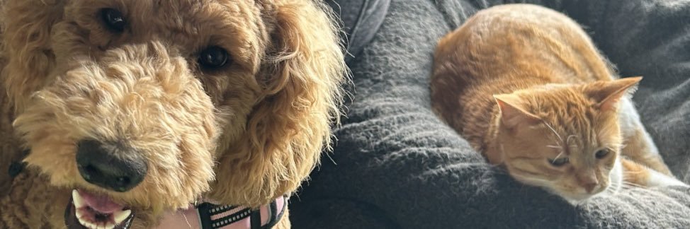 ed_sked's profile banner image