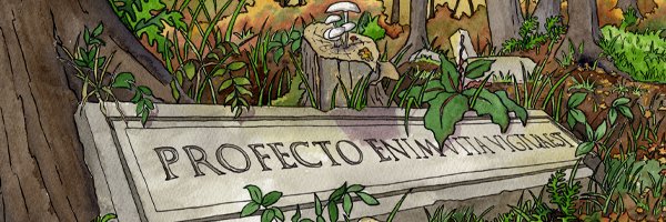 Halfpennytweets's profile banner image
