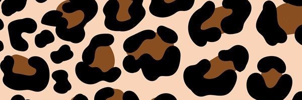 RavenTierra Profile Banner