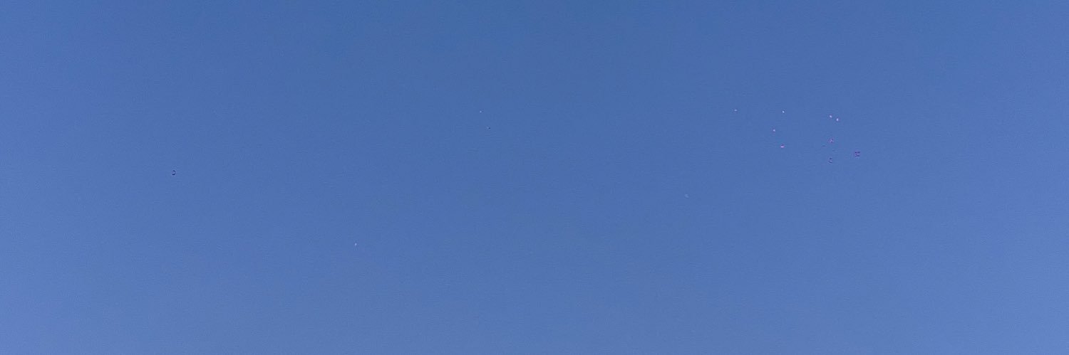 VBergnes's profile banner image