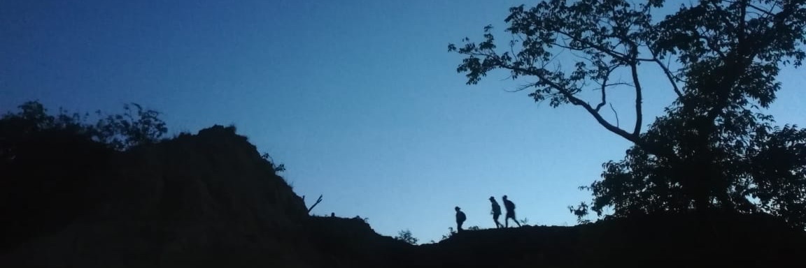 Anactamayo's profile banner image