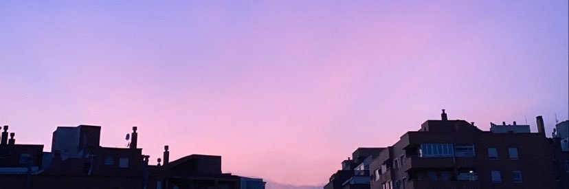 🦇 banner