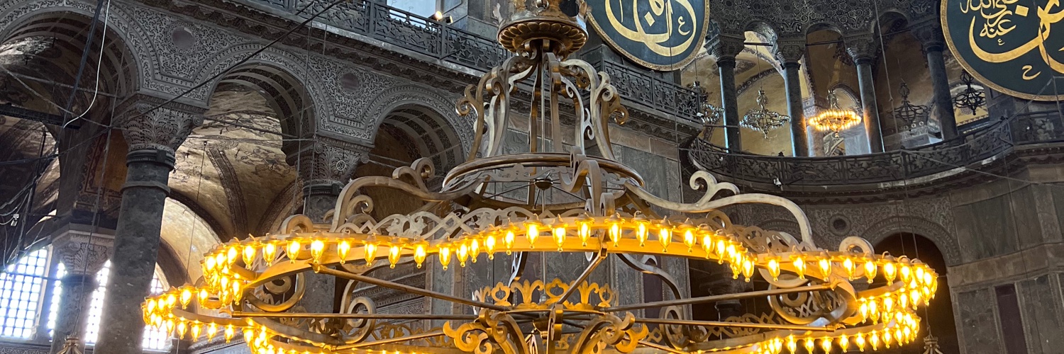 MarthaStegemann's profile banner image