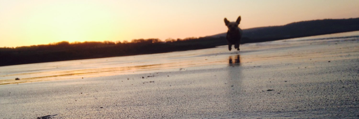Bevah30's profile banner image