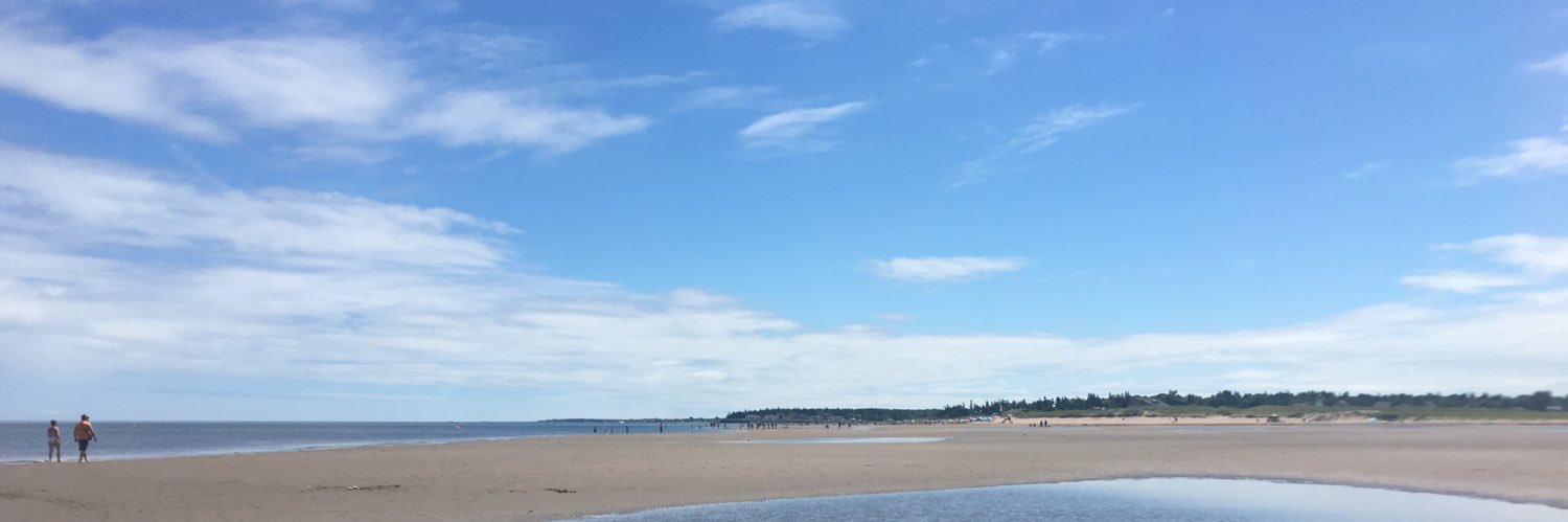 Claire Ryan banner