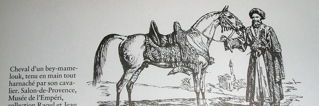 Nicolas Bruyas banner