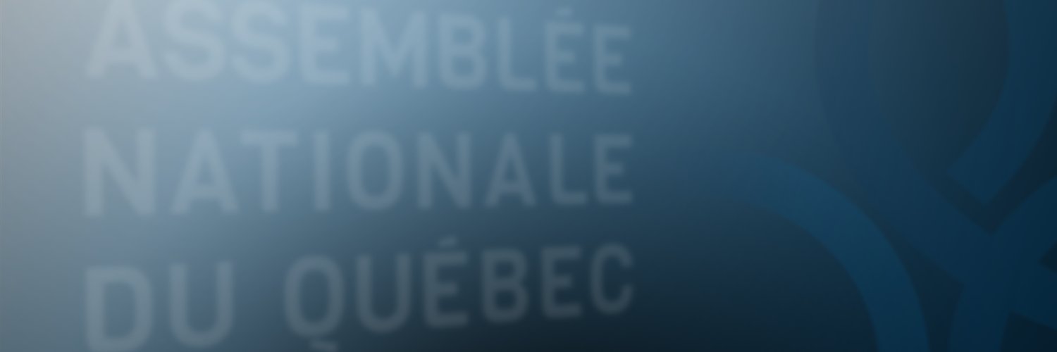 Youri Chassin's banner