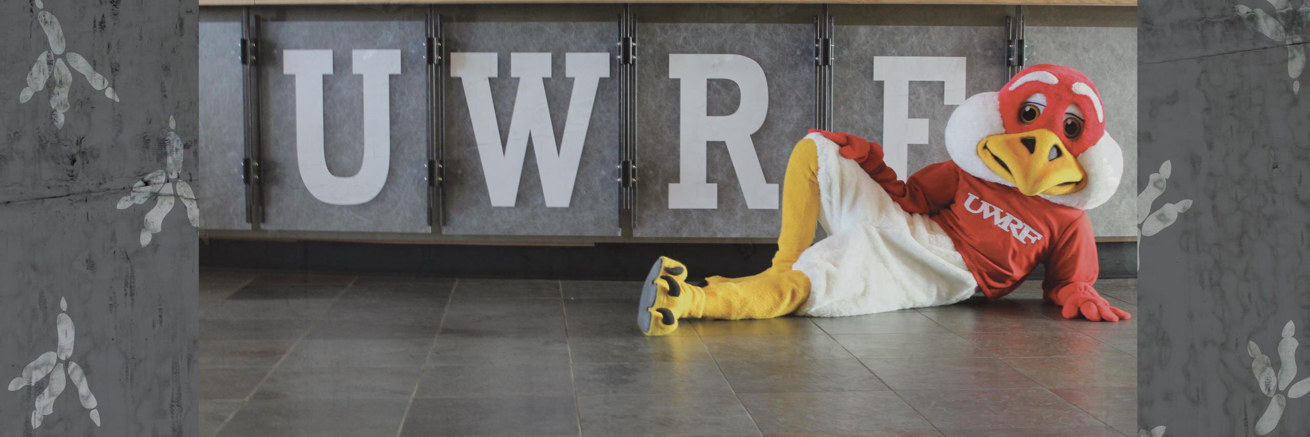 FreddyFalconRF's profile banner image