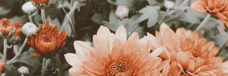 _nadiahtalib's profile banner image