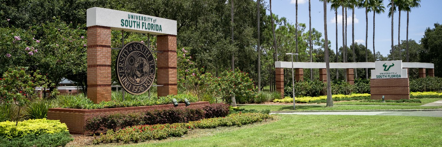 USF School of Information | iSchool banner