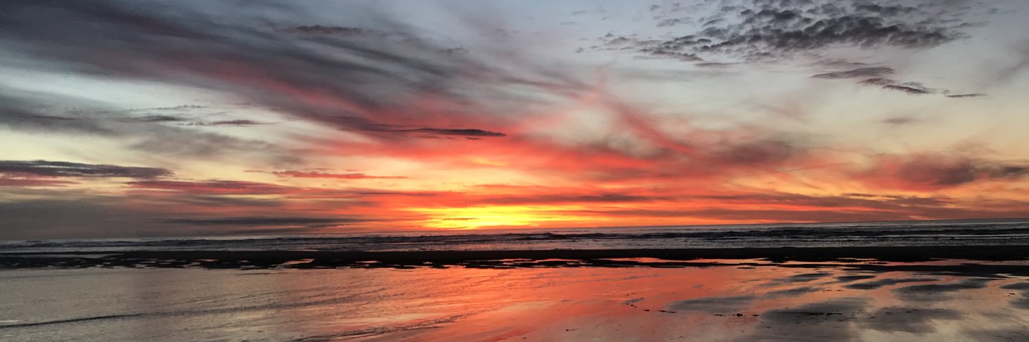 Conner Cappelletti banner