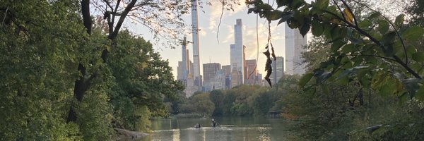 sergimovic Profile Banner