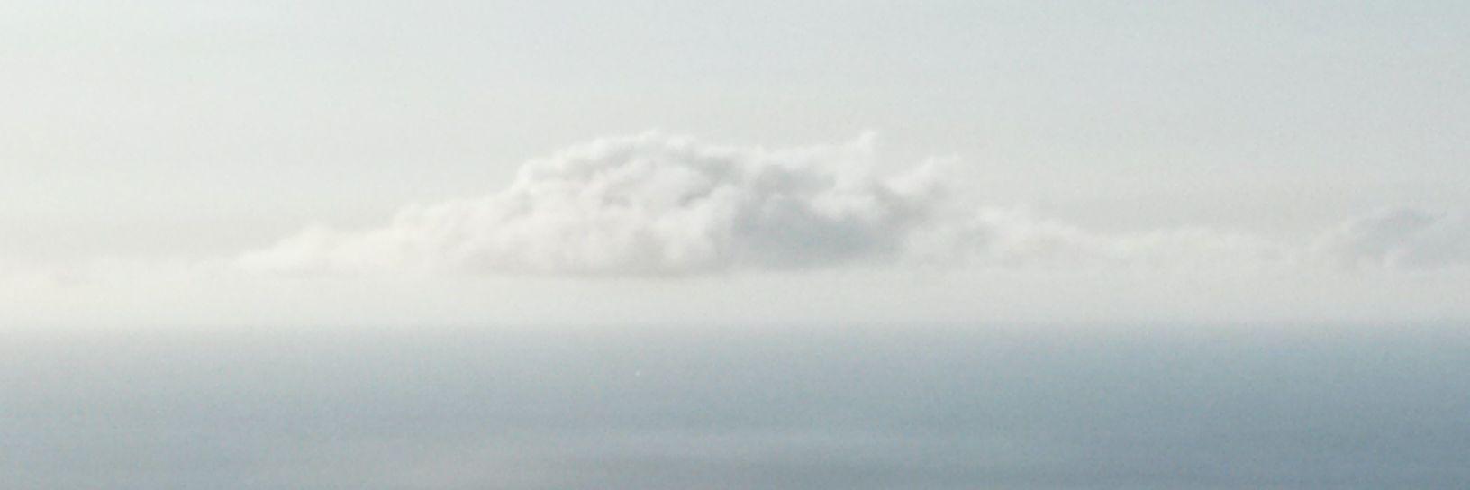 potatonika's profile banner image