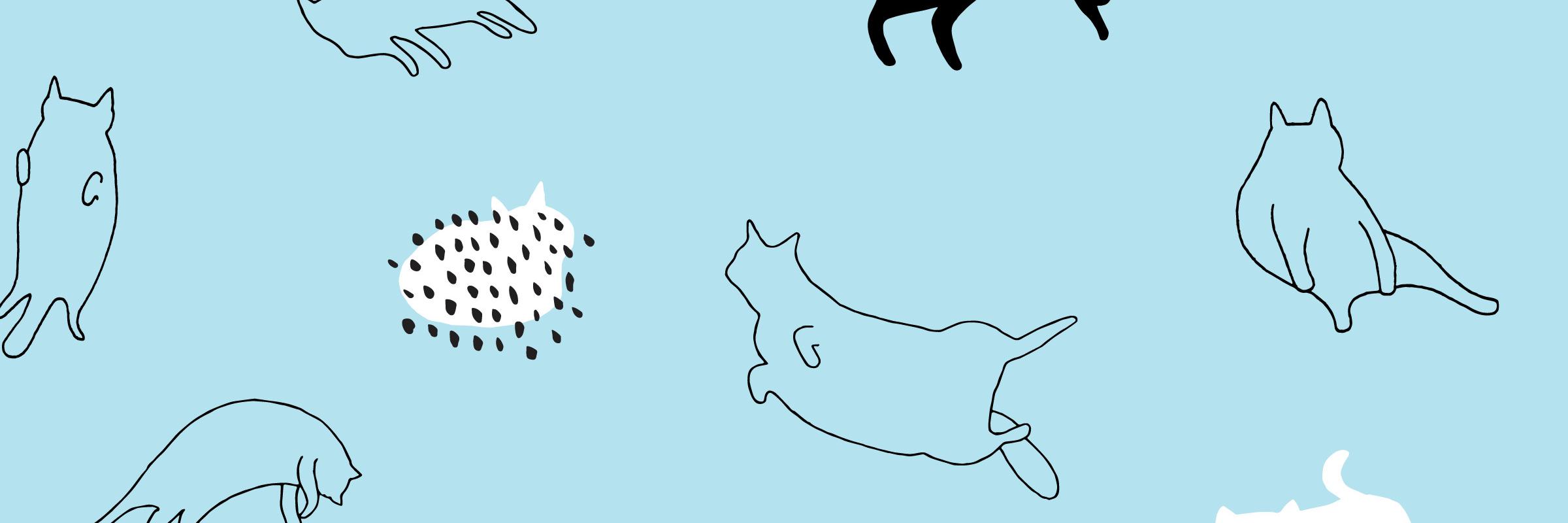 jaebberwocky's profile banner image